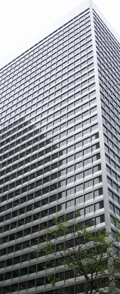 company_info.png